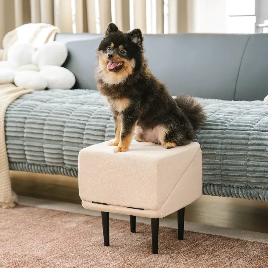 2-in-1 Convertible Wooden Home Step Stool Dog Ramp Stairs for Bed