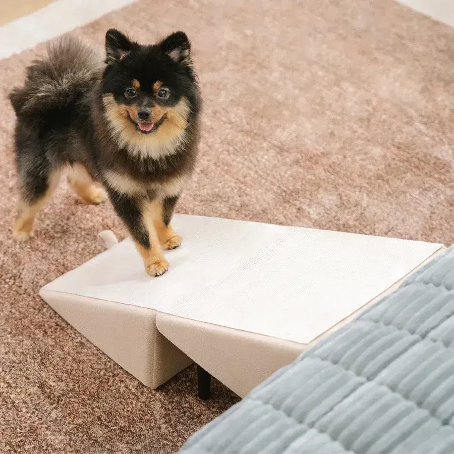 2-in-1 Convertible Wooden Home Step Stool Dog Ramp Stairs for Bed