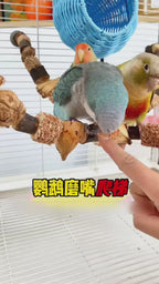 Parrot Natural Jackfruit Nuts Wooden Chew String
